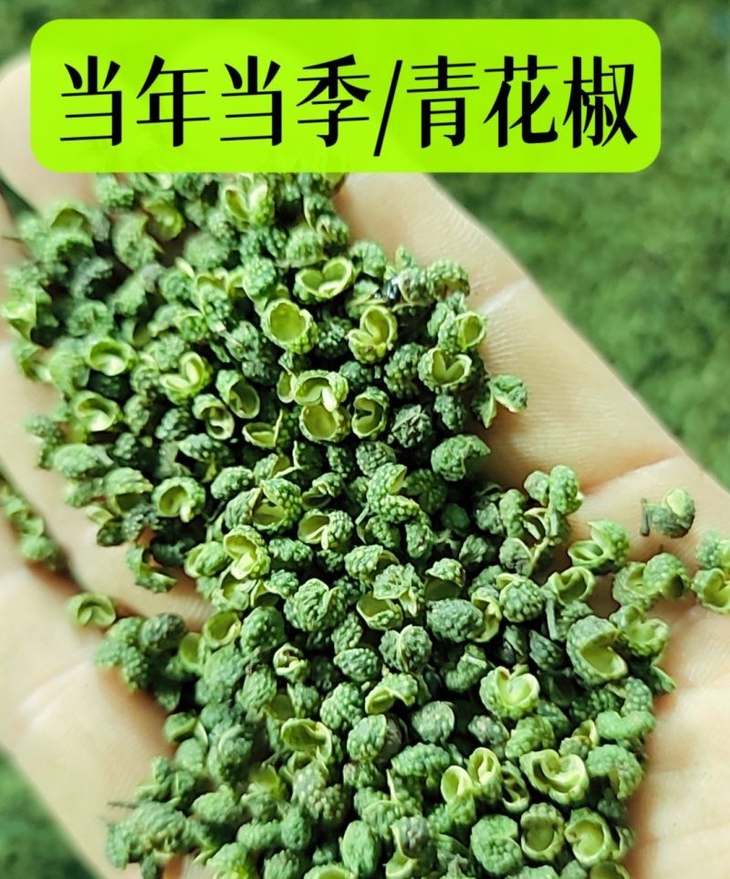 江津九叶青花椒，基地直供货源，货物充足，需要的联系