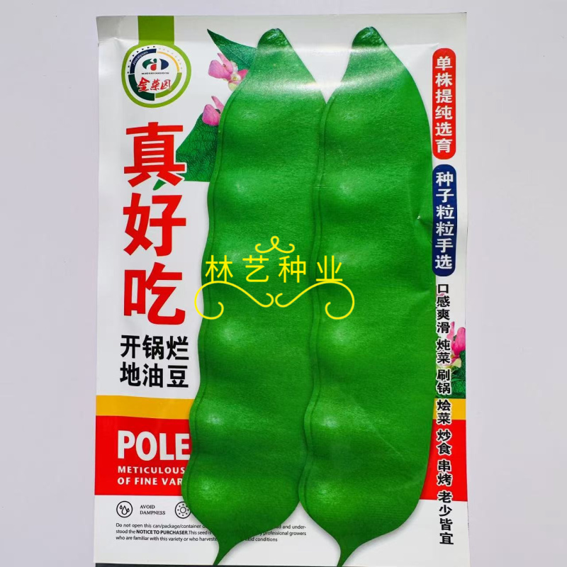 真好吃开锅烂地油豆种子早熟结荚集中肉质厚无筋无柴商品性佳
