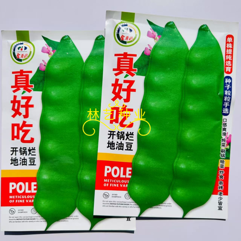 真好吃开锅烂地油豆种子早熟结荚集中肉质厚无筋无柴商品性佳