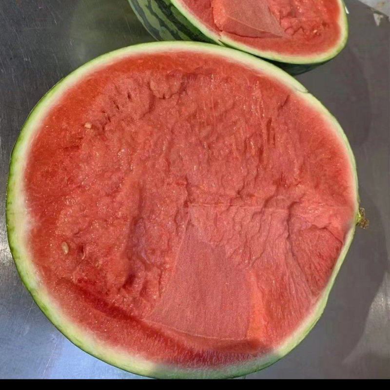 精品美都无子麒麟西瓜