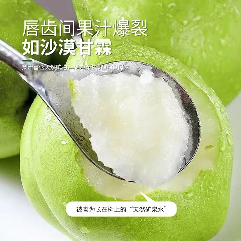 酥梨甘肃条山酥梨酥脆多汁糖度高品质好价格优惠