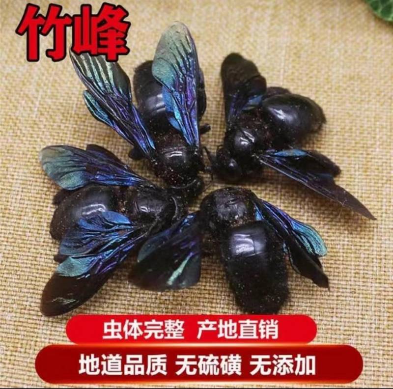 广西野生竹蜂按只卖，0.8-只量大从优