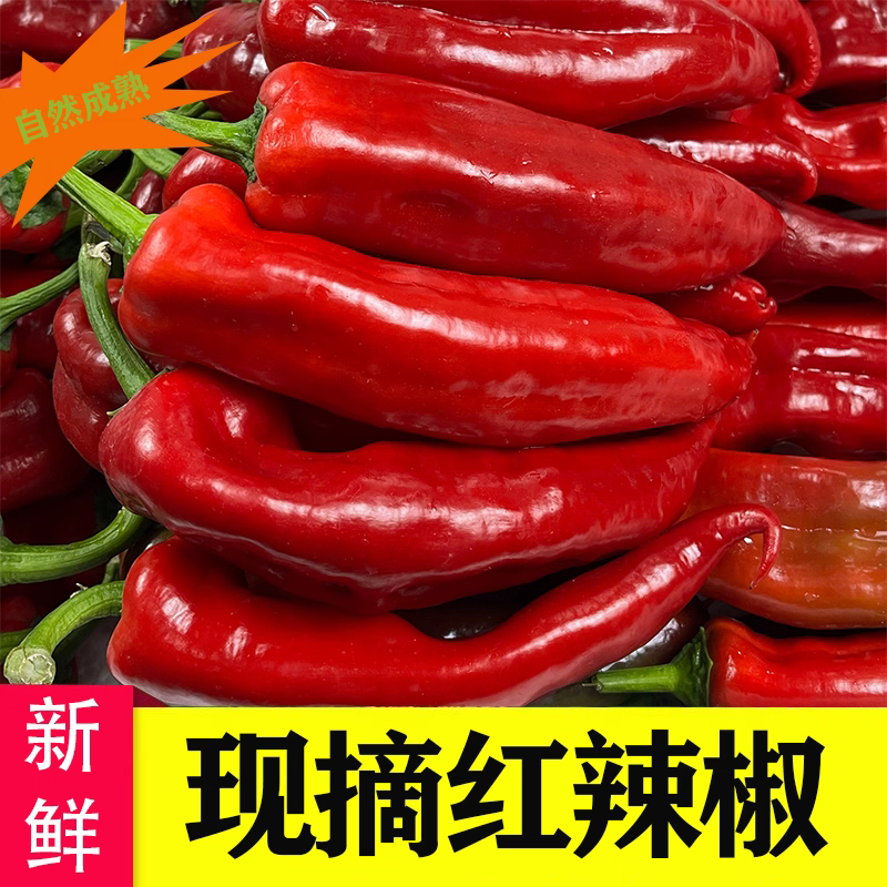 红椒红泡椒红杠椒红线椒红尖椒产地看货论价