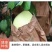 【爆甜头茬】正宗红柚红心蜜柚子红肉蜜柚皮薄孕妇新鲜应季水果