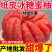 【爆甜头茬】正宗红柚红心蜜柚子红肉蜜柚皮薄孕妇新鲜应季水果