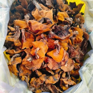 松蘑，粘团子，粘窝子