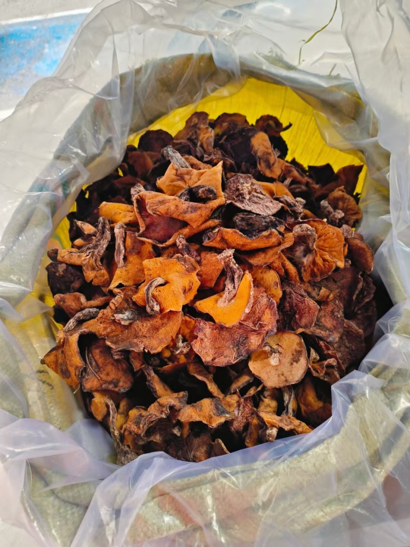 松蘑，粘团子，粘窝子