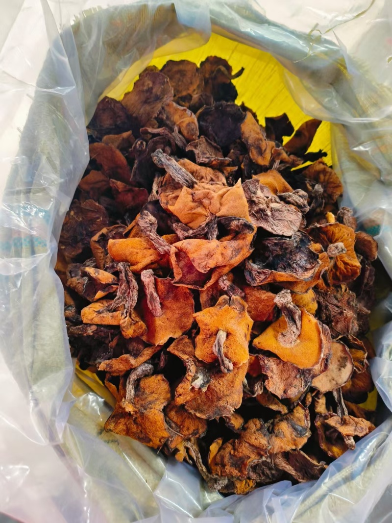 松蘑，粘团子，粘窝子