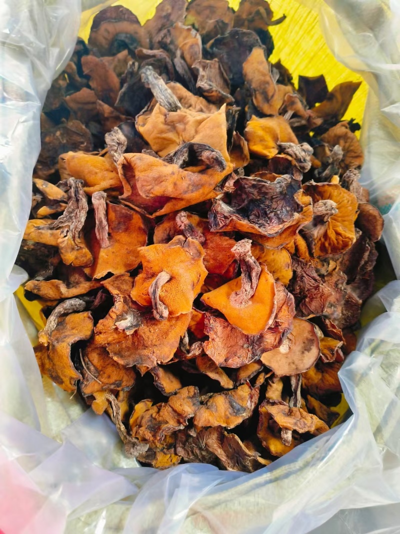 松蘑，粘团子，粘窝子