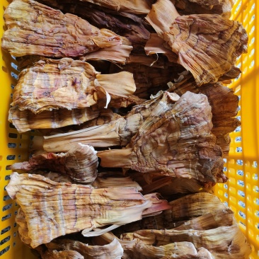 笋干