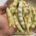 早熟黄金钩油豆角种子春秋豆角黄色架豆芸豆东北特色蔬菜种籽