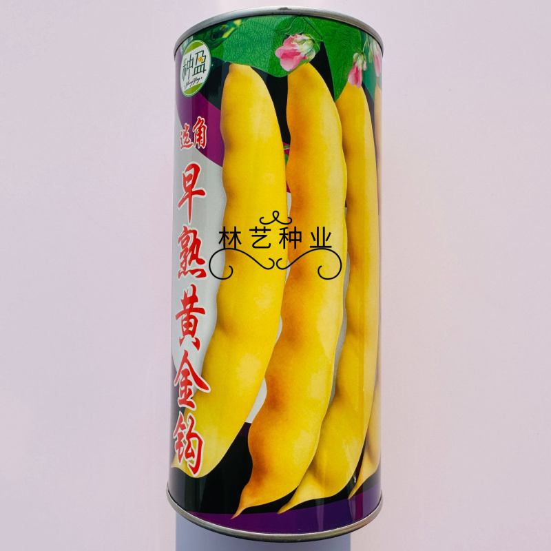 早熟黄金钩油豆角种子春秋豆角黄色架豆芸豆东北特色蔬菜种籽
