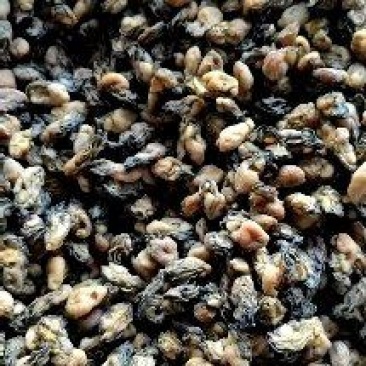 蚝干生蚝干蚝豉海蛎干牡蛎干海鲜干货原产地直发