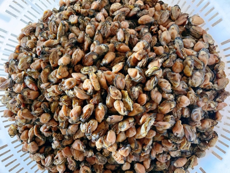 蚝干生蚝干蚝豉海蛎干牡蛎干海鲜干货原产地直发