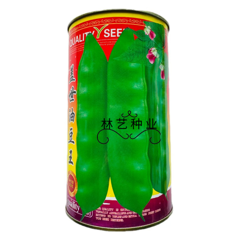盖世油豆王油豆角种子口感好鲜嫩无筋高产抗病农家大田
