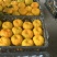 云南精品碰柑价格下调品质好