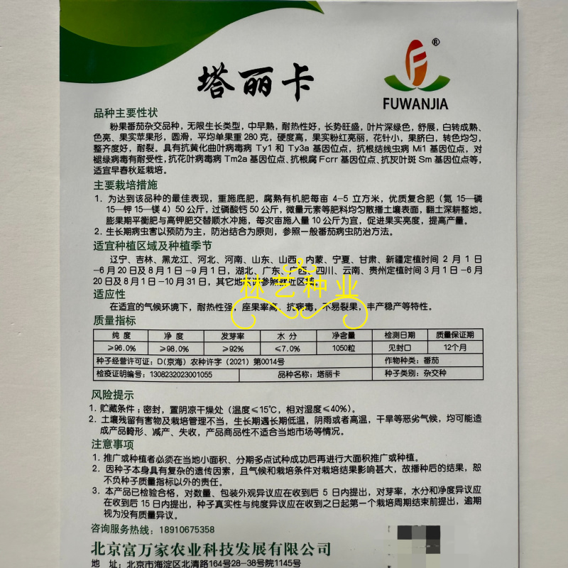 塔丽卡粉果番茄种子杂交种中早熟耐热性好无限生长类型