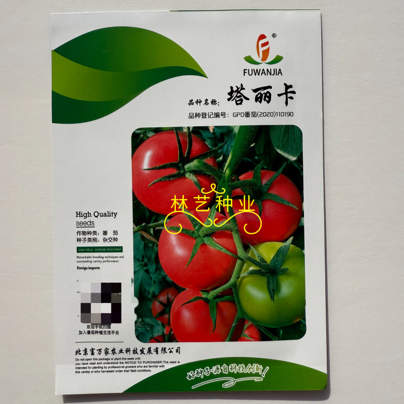 塔丽卡粉果番茄种子杂交种中早熟耐热性好无限生长类型