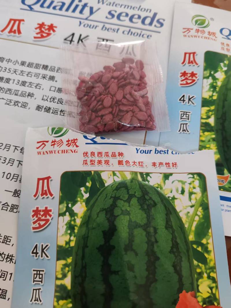 西瓜种子