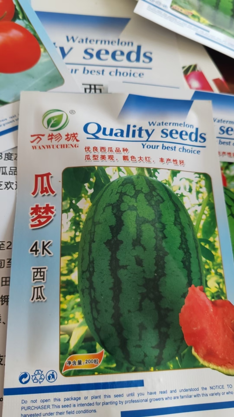 西瓜种子