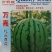 西瓜种子