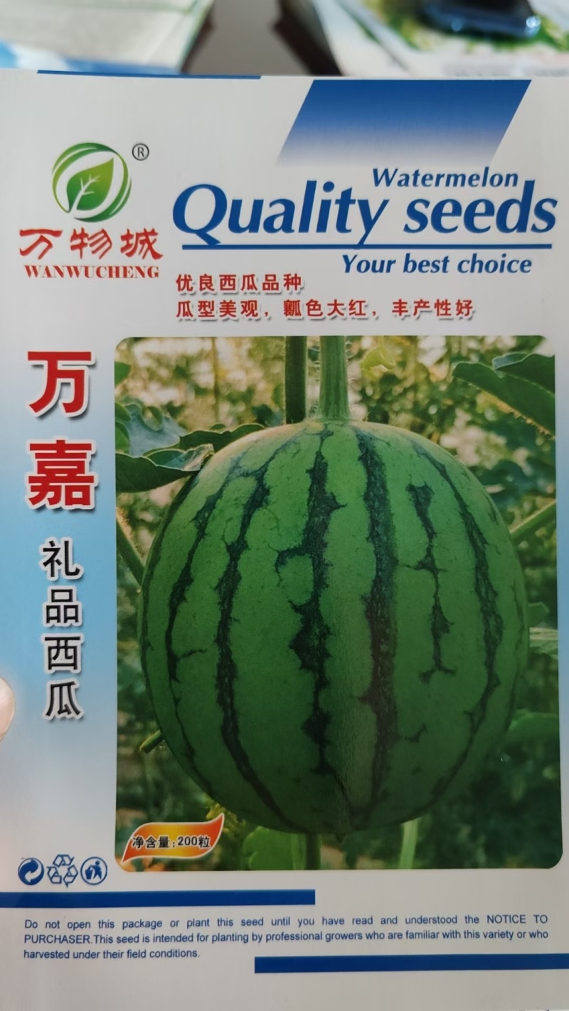 西瓜种子