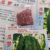 西瓜种子