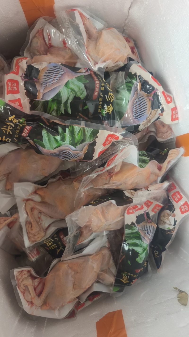 鹧鸪白条飞龙石鸡呱呱鸡