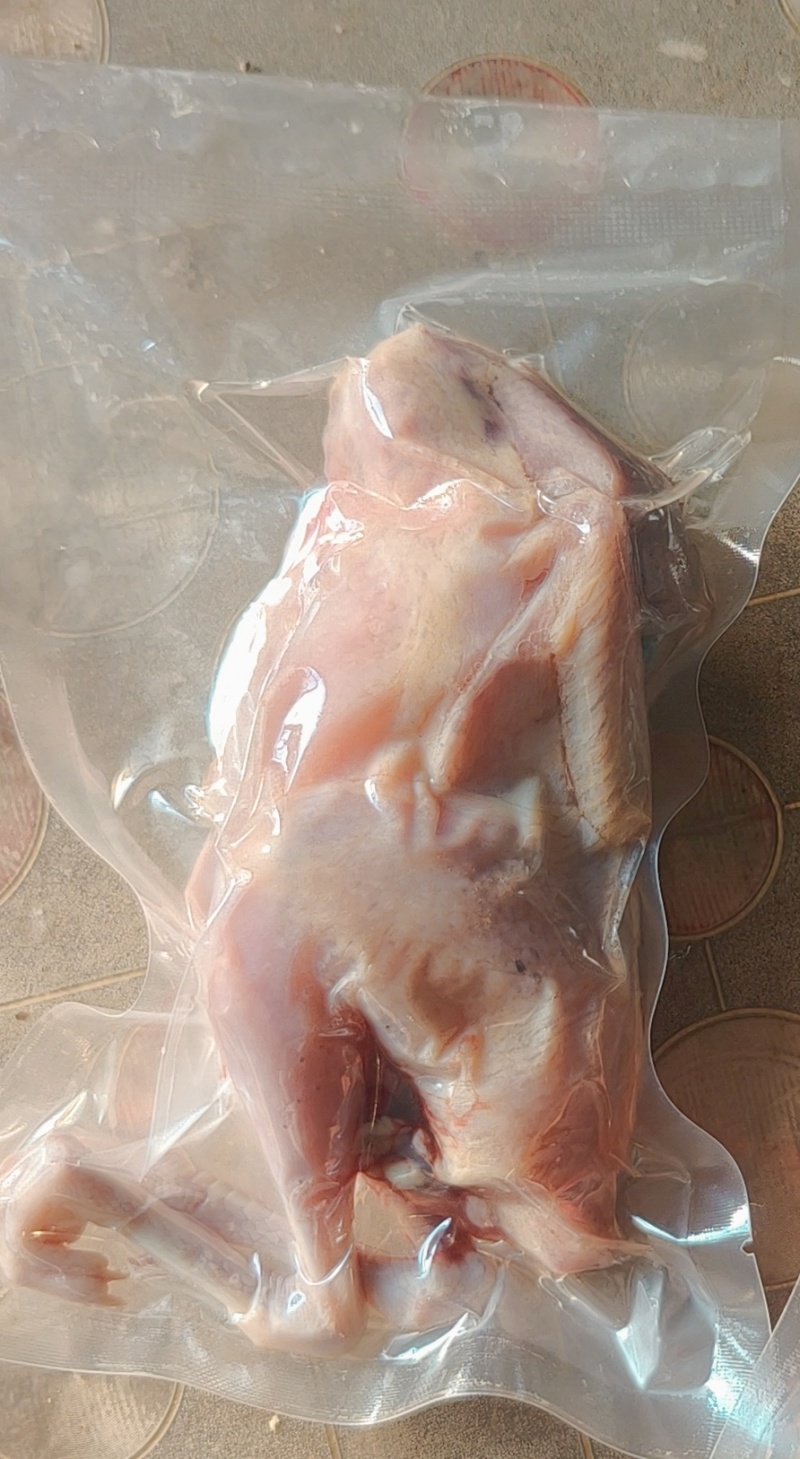 鹧鸪白条飞龙石鸡呱呱鸡