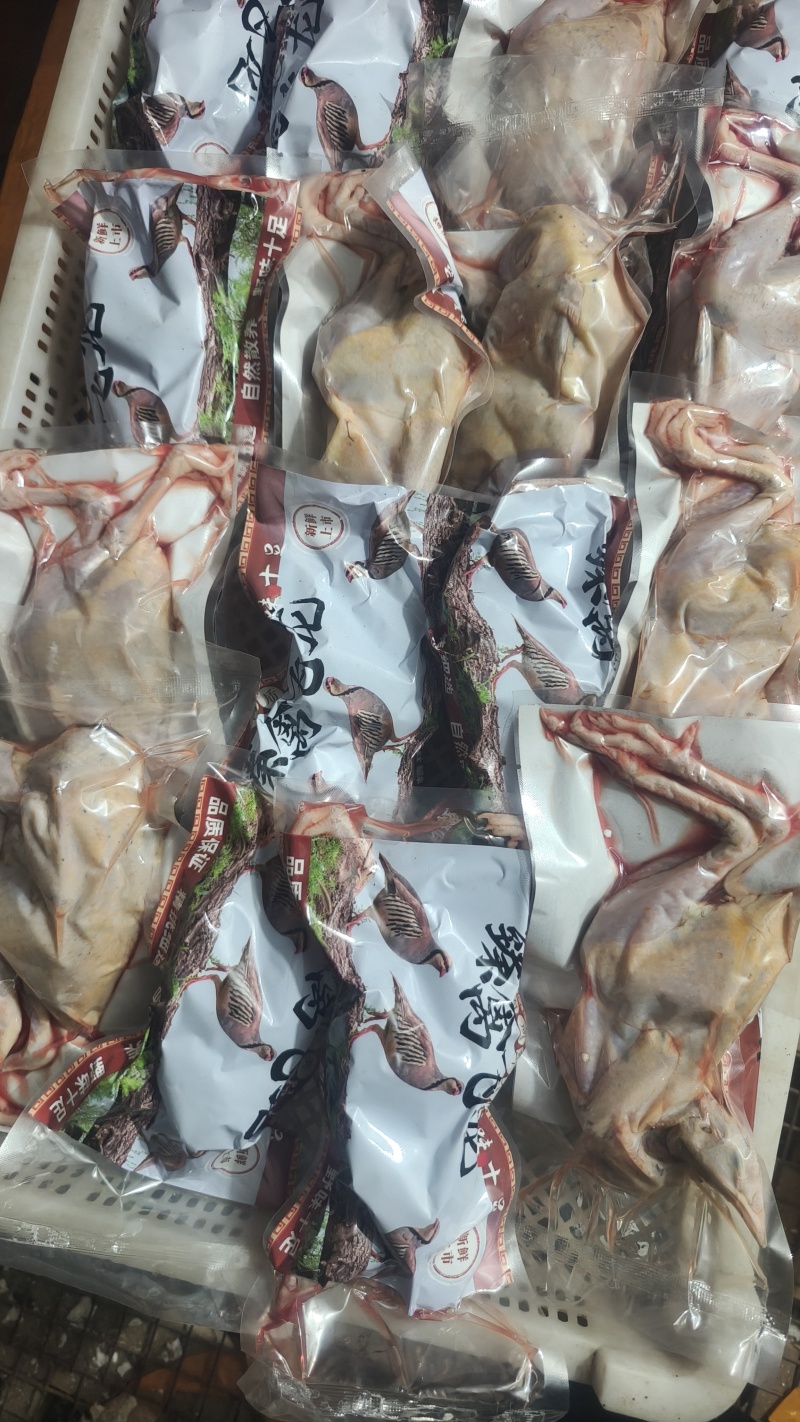 鹧鸪白条飞龙石鸡呱呱鸡
