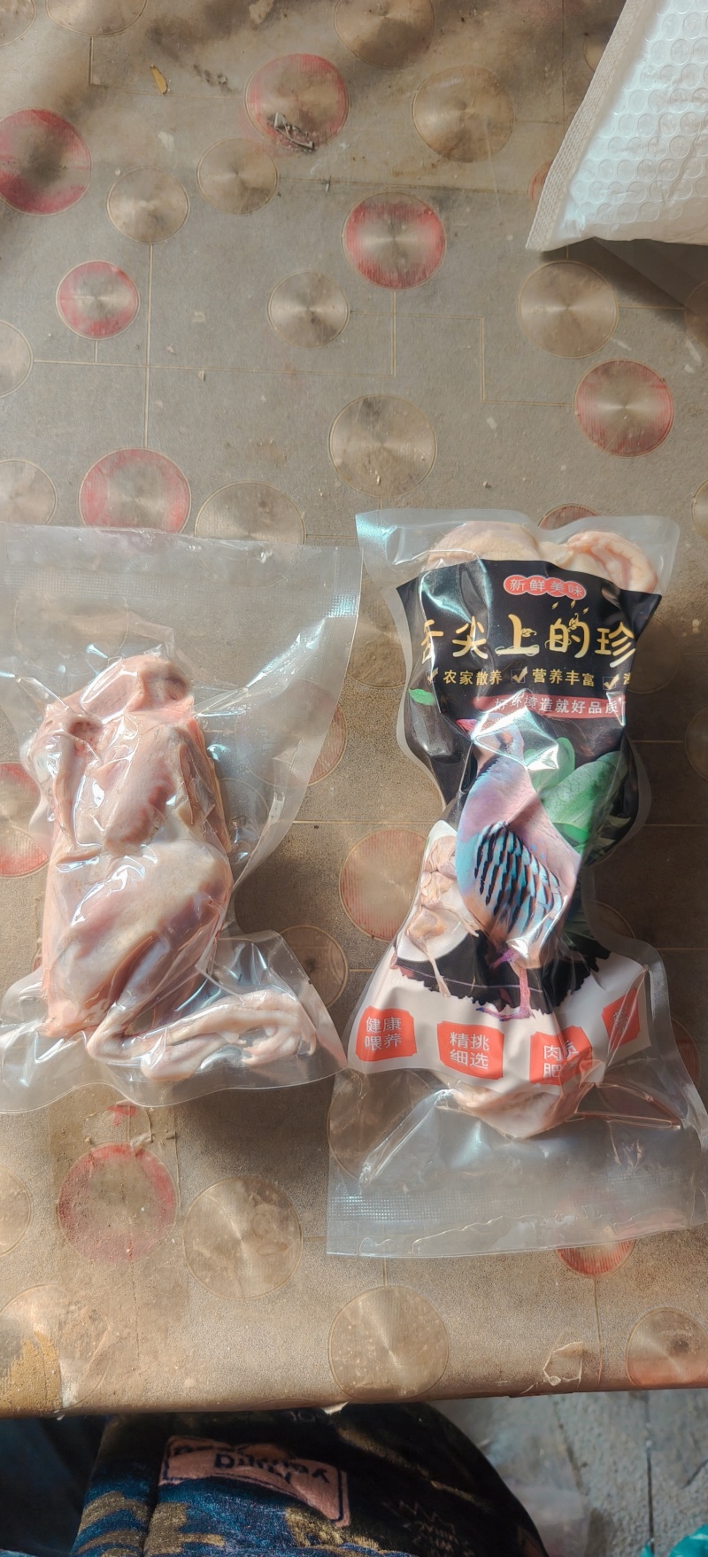 鹧鸪白条飞龙石鸡呱呱鸡