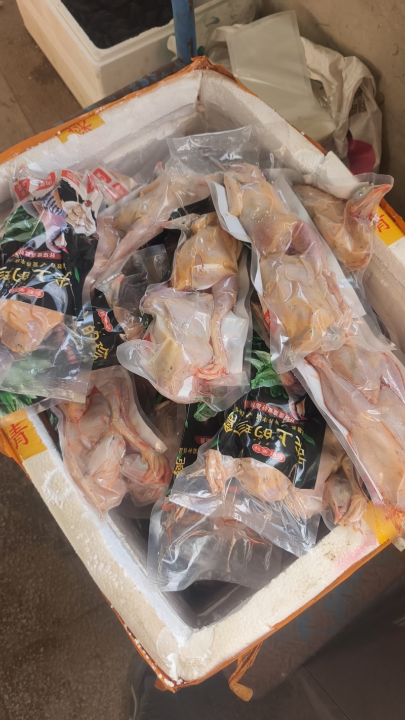 鹧鸪白条飞龙石鸡呱呱鸡