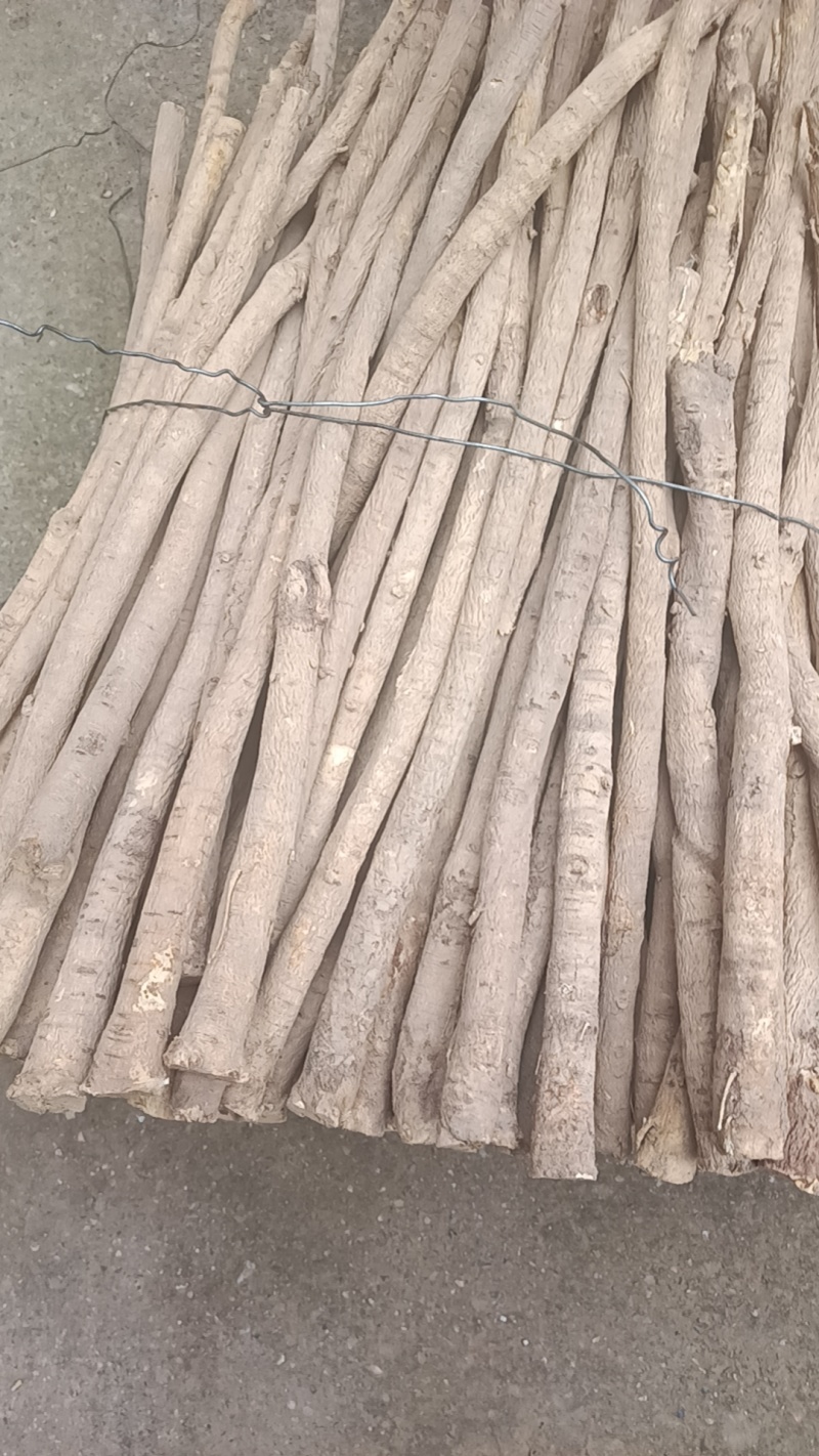 精选正宗甘肃岷县黄芪三年生主根无硫熏黄芪条】一手货源