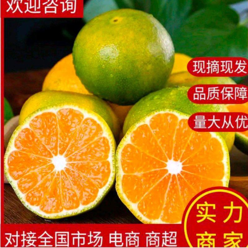 早熟蜜橘柑桔，皮簿多汁，对接批发市场商超社区团购出口贸易