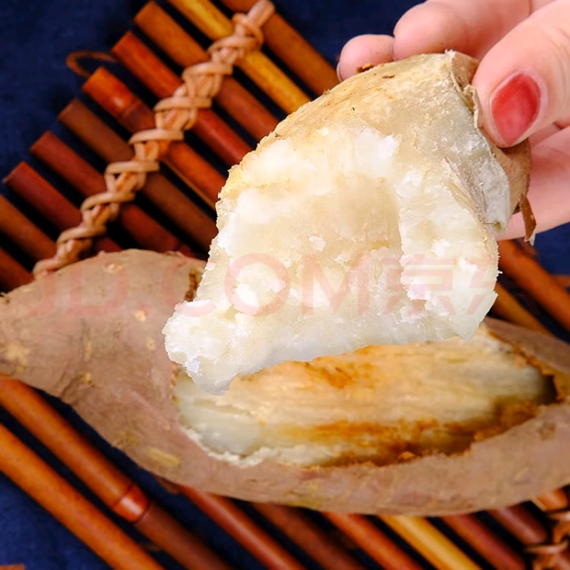 河南沈丘+哈密冰糖薯已挖