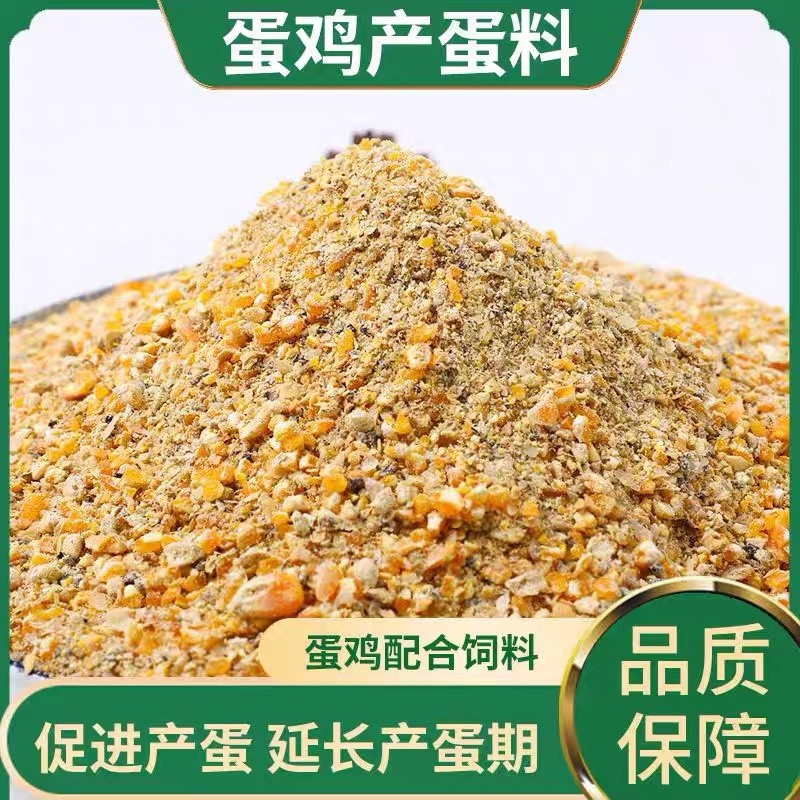 蛋鸡玉米碎粉料饲料鸡鸭鹅通食配合饲料
