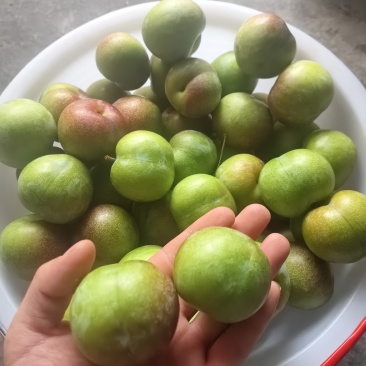 半边红李子