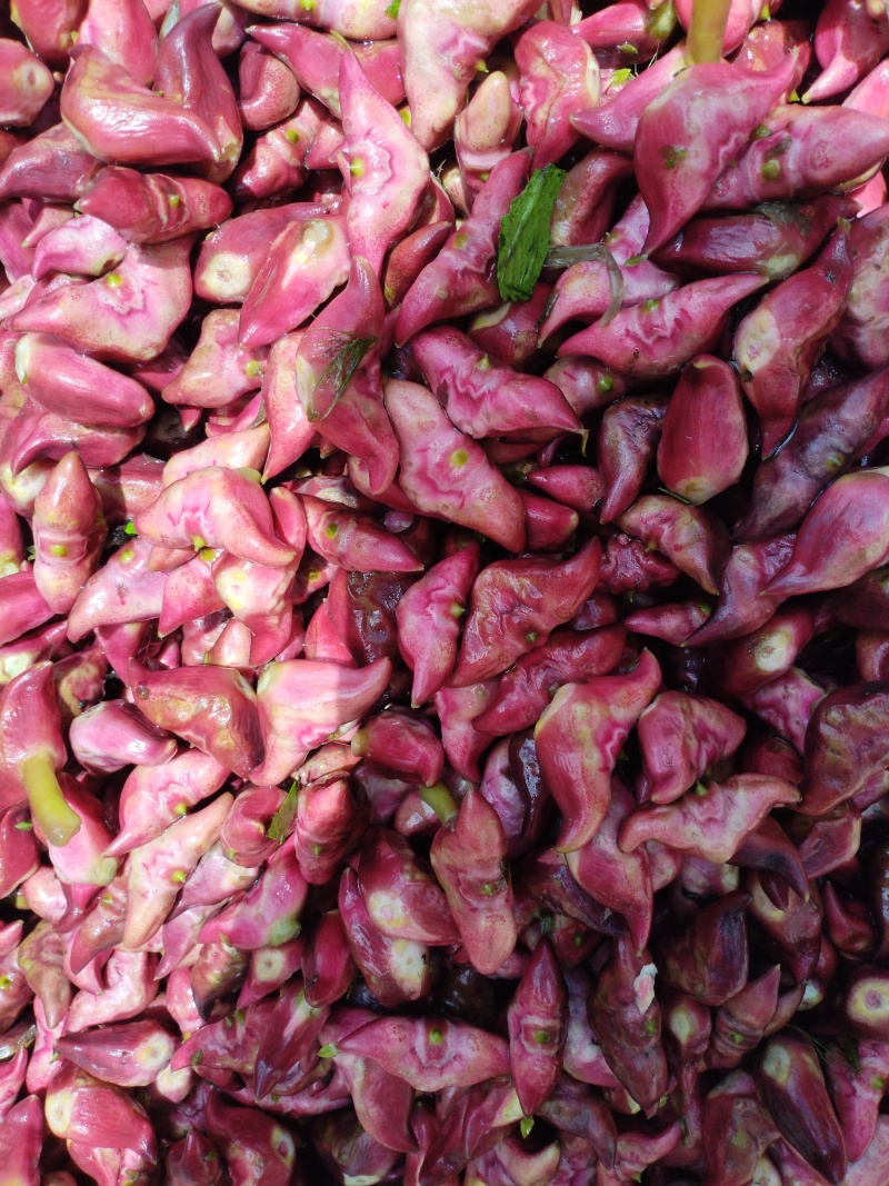 生吃脆脆甜甜，煮熟粉粉糯糯水红菱正式热卖抢手货需要联系我