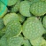 生吃脆脆甜甜，煮熟粉粉糯糯水红菱正式热卖抢手货需要联系我