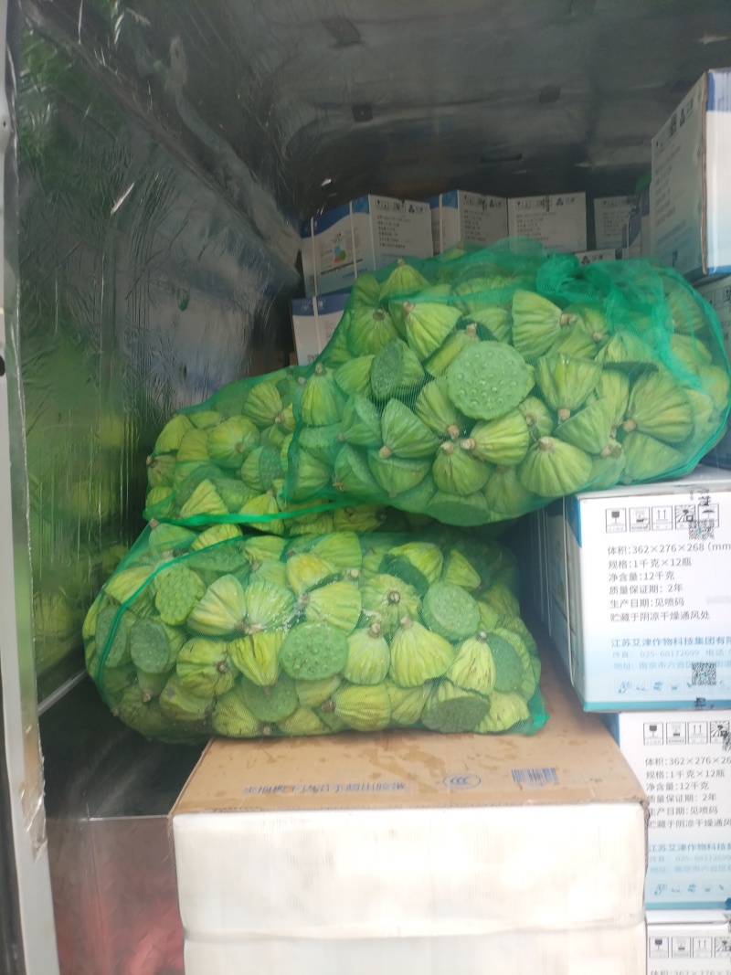 生吃脆脆甜甜，煮熟粉粉糯糯水红菱正式热卖抢手货需要联系我