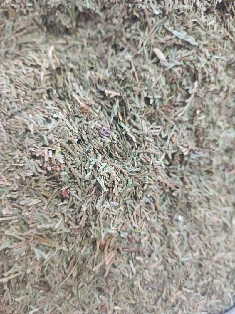 (侧柏叶)柏叶/药都亳州发货量大可磨粉/保质保量