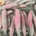 河北烟薯25，沙土地种植，基地货，市场，电商规格齐全