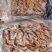 牛大肠精修去油纯清水煮圆肠牛小肠纯干牛伞带牛三代伞肚