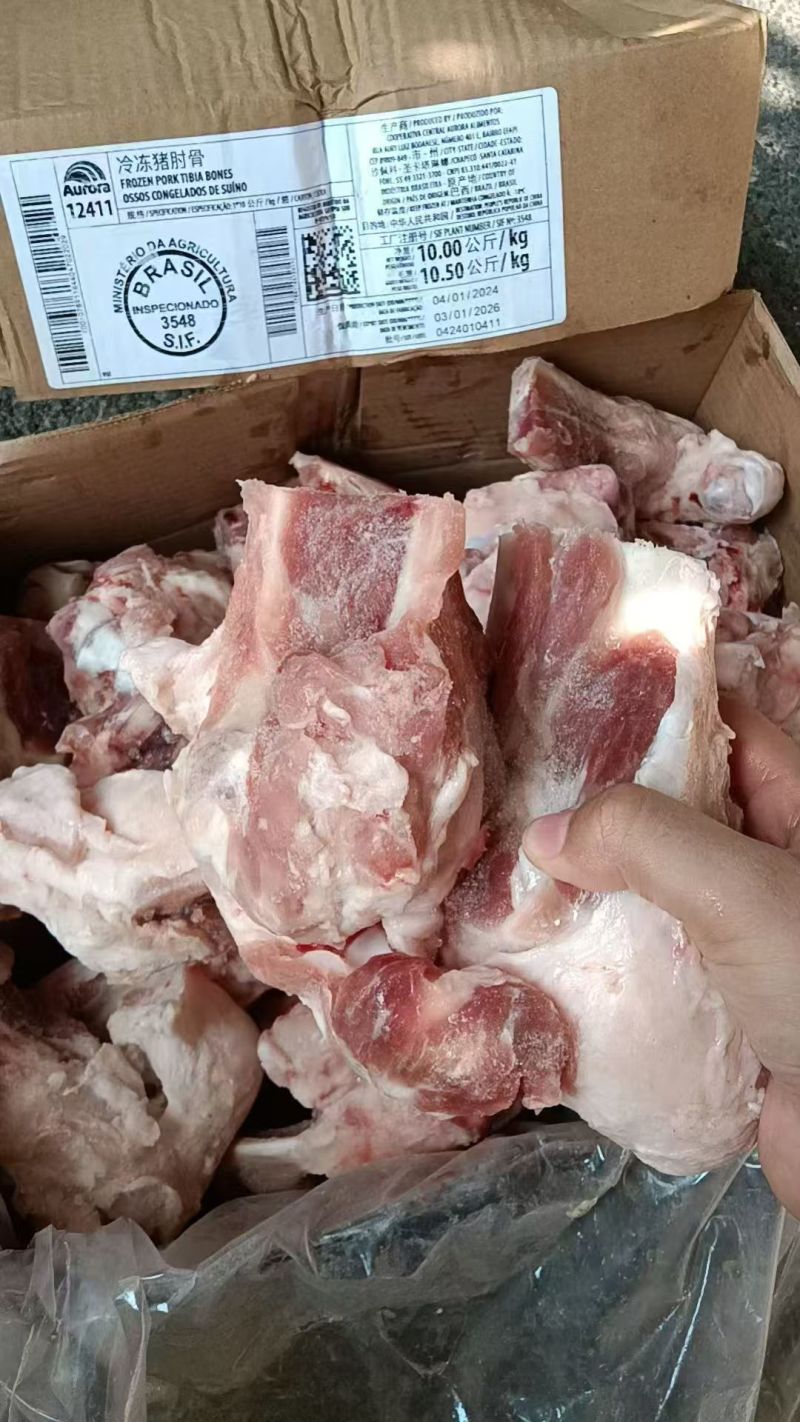 3548后肘骨