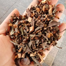 正品桑寄生药典标准桑寄生
