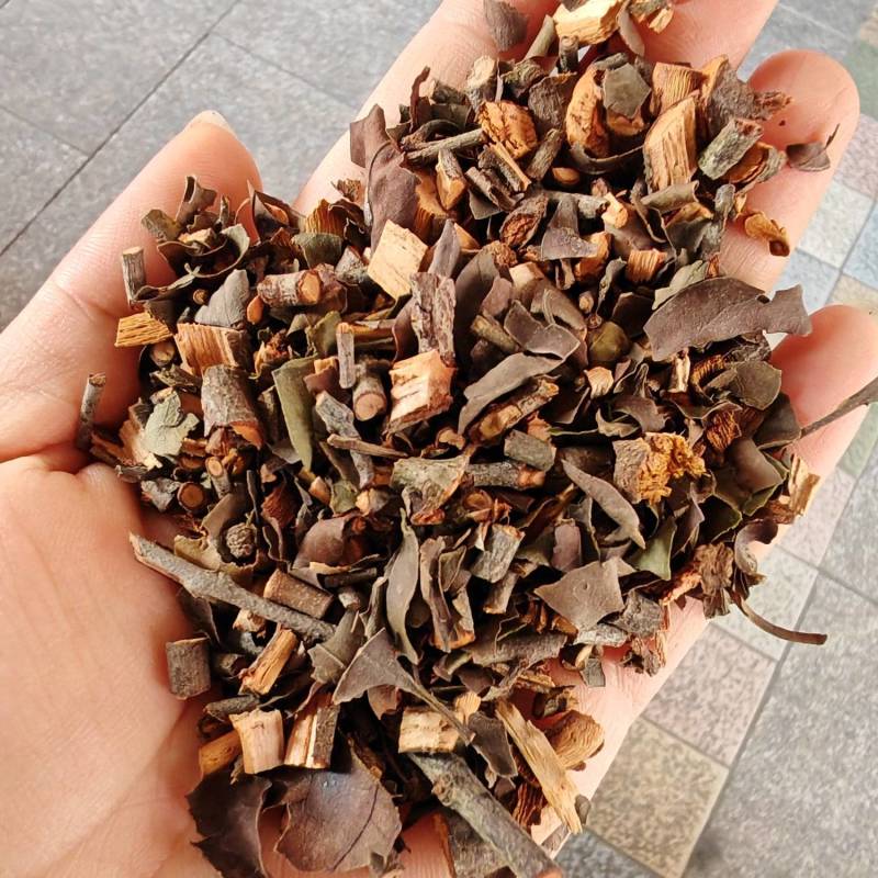 正品桑寄生药典标准桑寄生