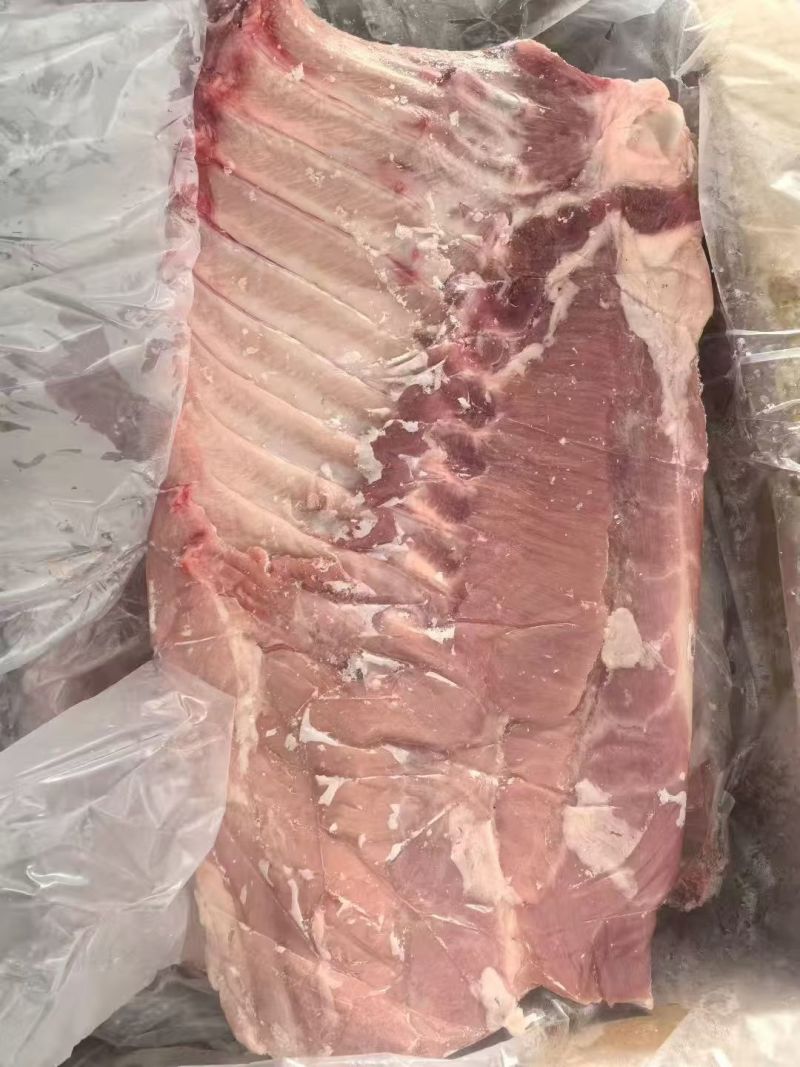 毛肋排