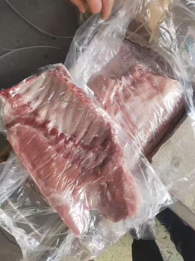 毛肋排