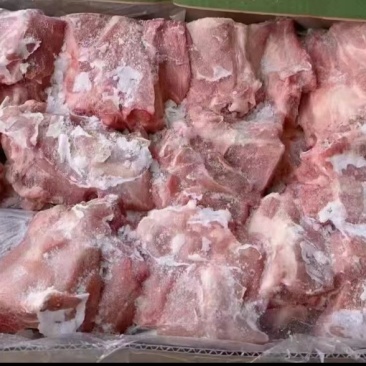 国产满肉颈骨