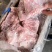 国产满肉颈骨